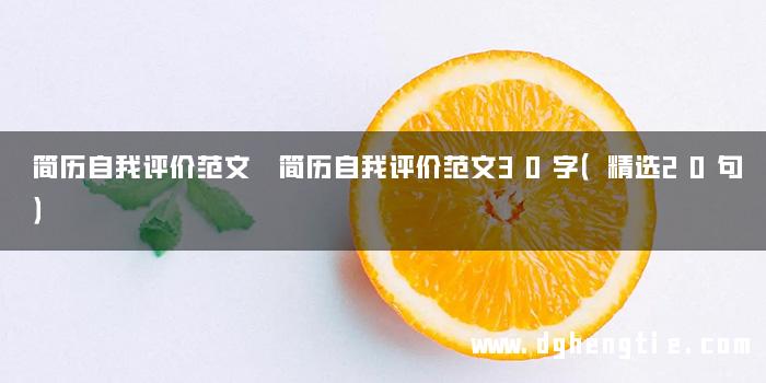简历自我评价范文 简历自我评价范文30字（精选20句）